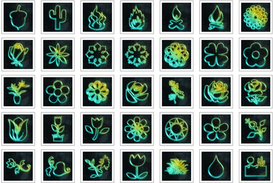 Glowing Green Neon Natural Wonders