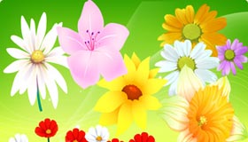 Free Vector Flowers 06
