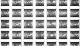 3d Transparent Glass Natural Wonders