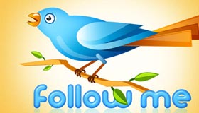 Twitter Bird by Graphicsfuel