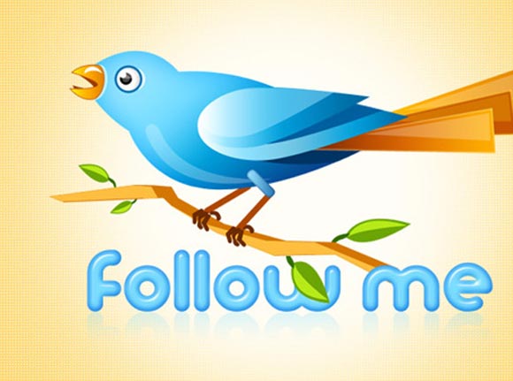 Twitter Bird by Graphicsfuel